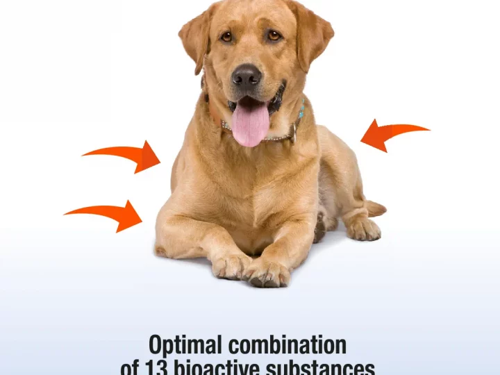 Productos para caballos de competición y perros. Mantén su salud y energía al máximo nivel