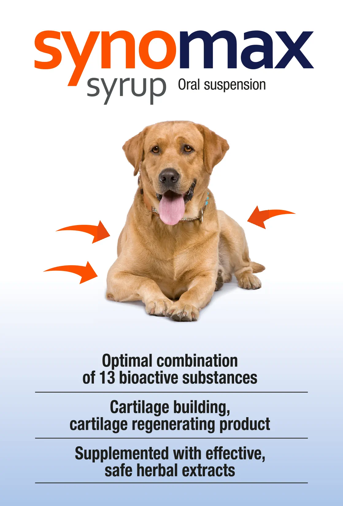 Productos para caballos de competición y perros. Mantén su salud y energía al máximo nivel